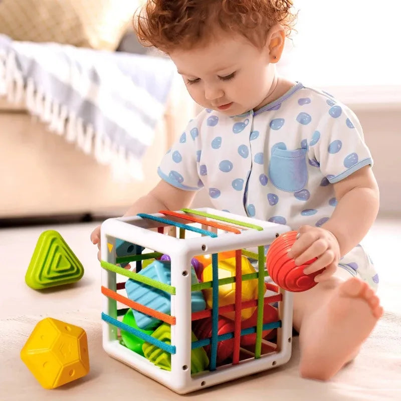 Baby Shape Sorter Cube Toy: Motor Skills Training & Educational Fun for Kids