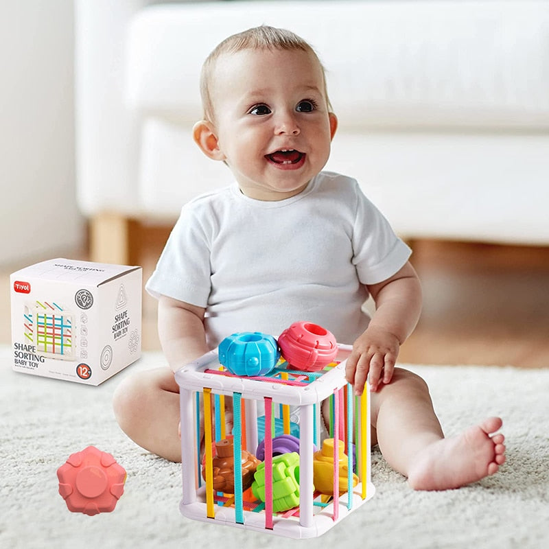 MMloveBB Colorful Shape Sorting Game: Montessori Learning Toy for Babies 0-12 Months