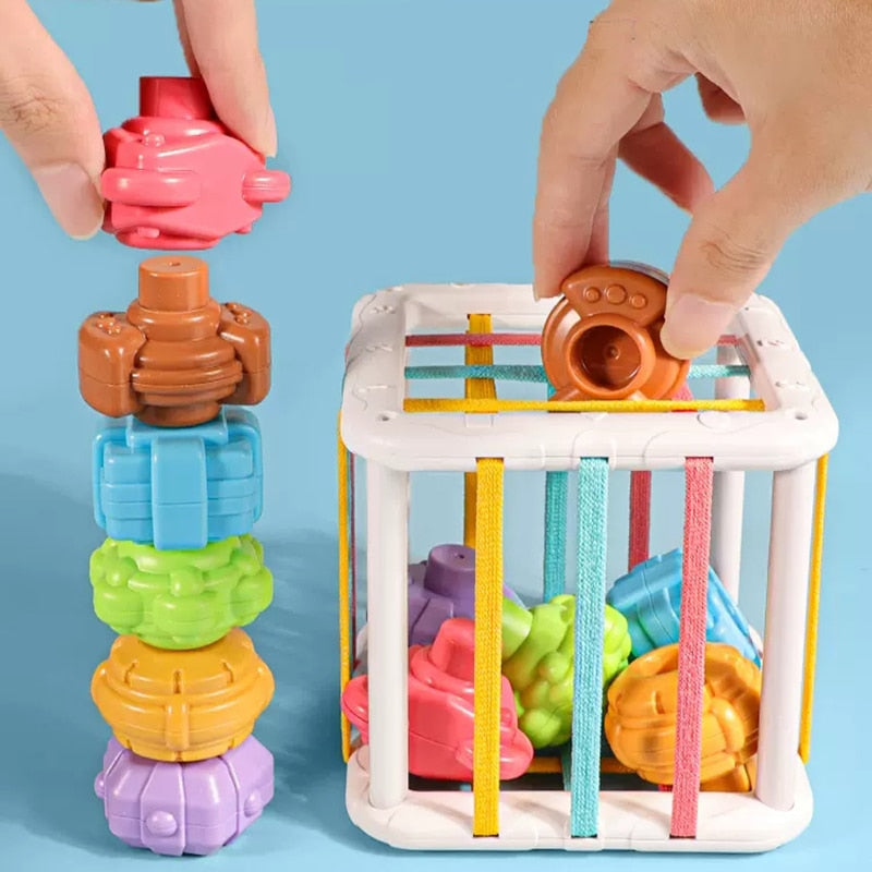 MMloveBB Colorful Shape Sorting Game: Montessori Learning Toy for Babies 0-12 Months